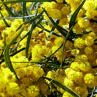 Photo de Sicile - Agrigente